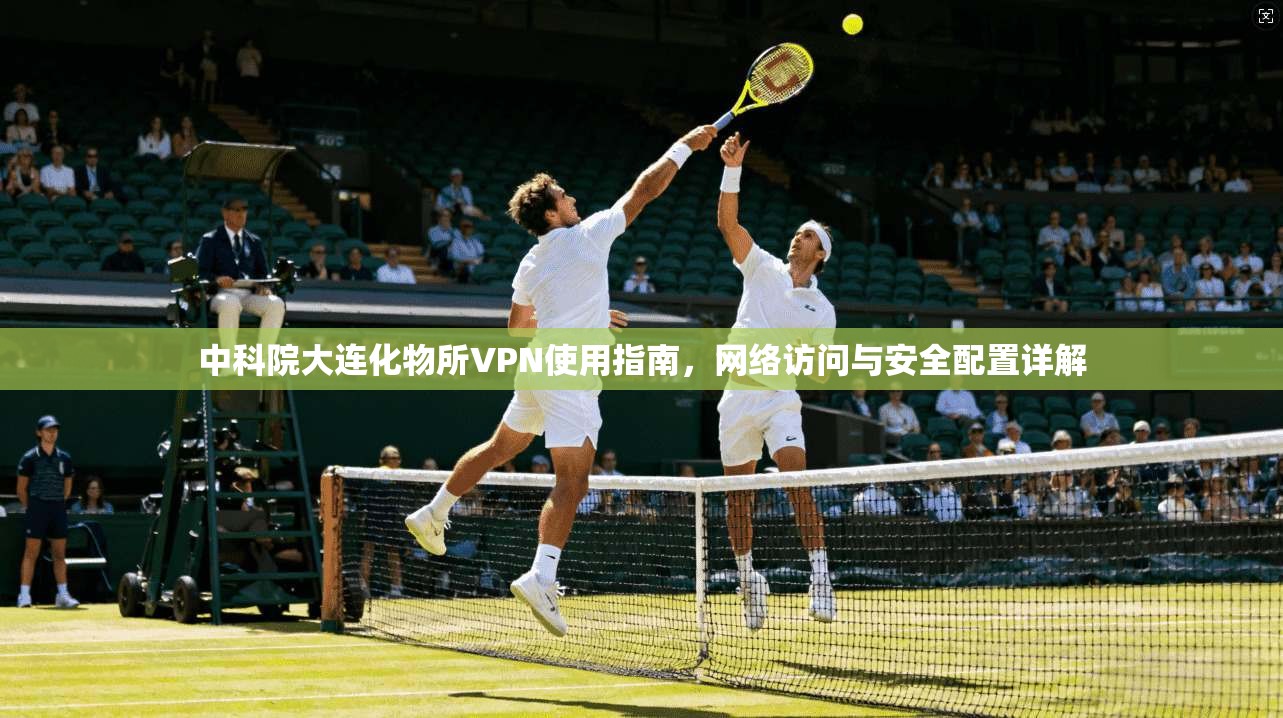 中科院大连化物所VPN使用指南，网络访问与安全配置详解