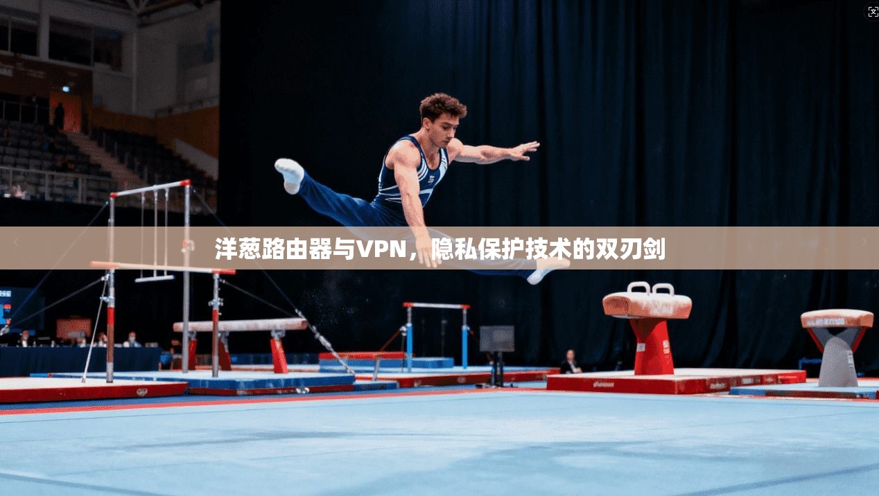 洋葱路由器与VPN，隐私保护技术的双刃剑