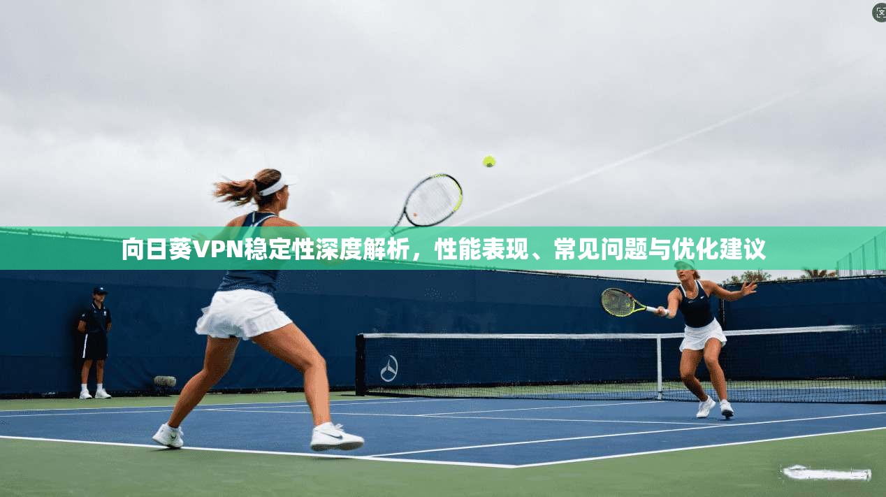 向日葵VPN稳定性深度解析，性能表现、常见问题与优化建议
