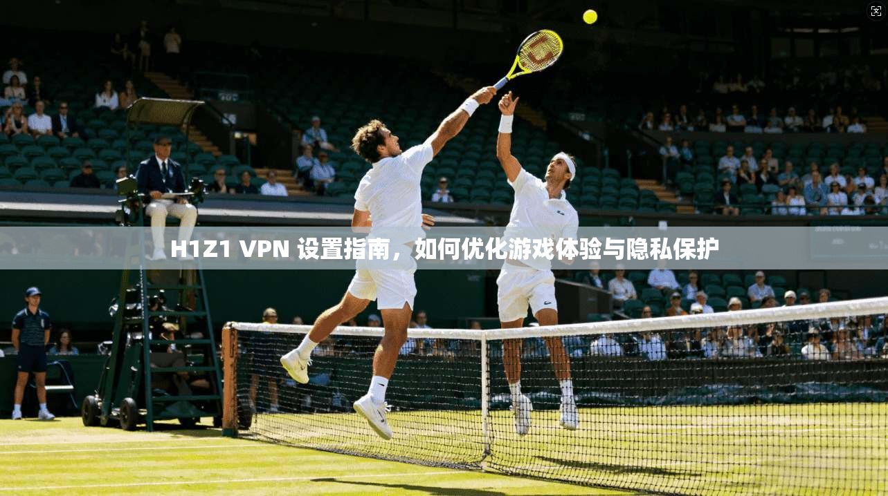 H1Z1 VPN 设置指南，如何优化游戏体验与隐私保护