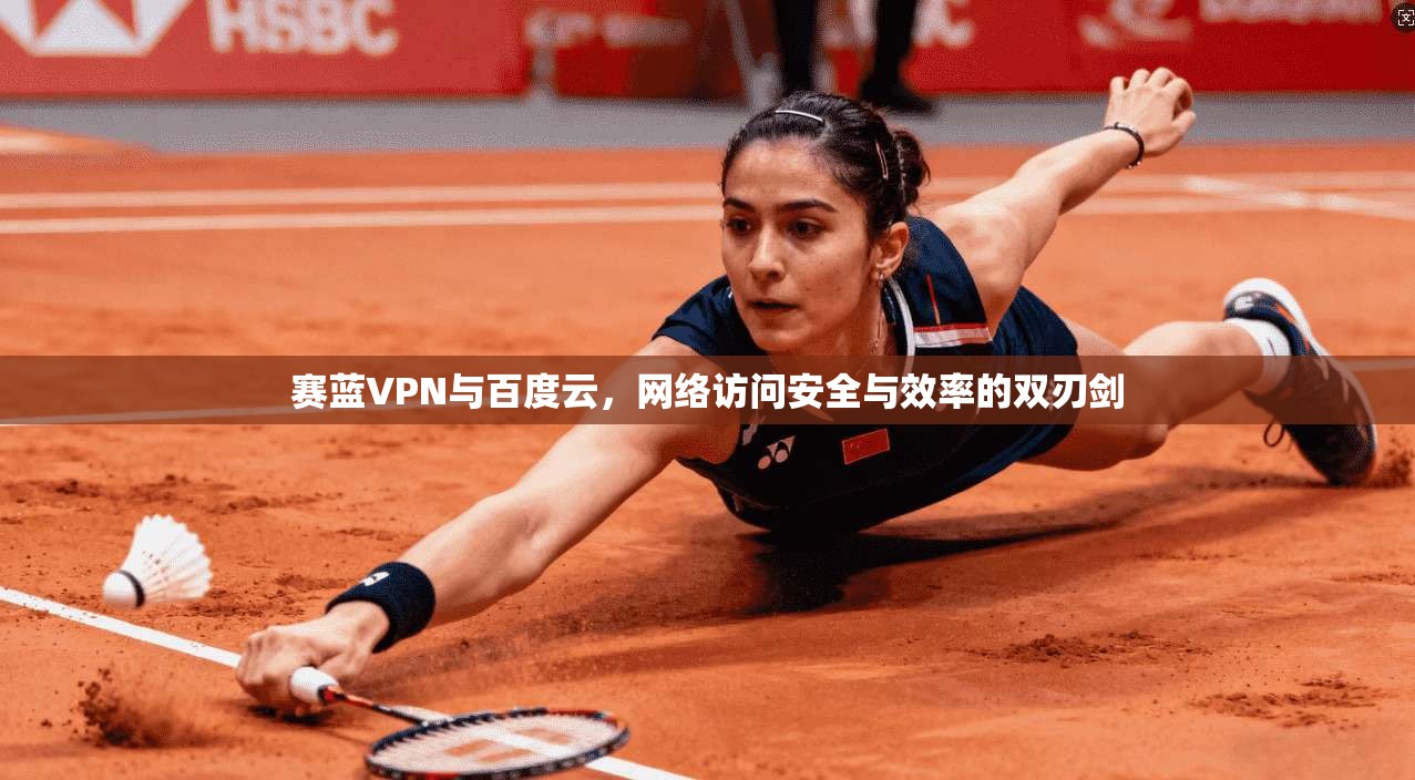 赛蓝VPN与百度云，网络访问安全与效率的双刃剑
