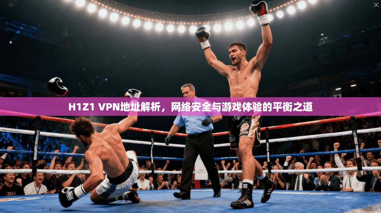 H1Z1 VPN地址解析，网络安全与游戏体验的平衡之道