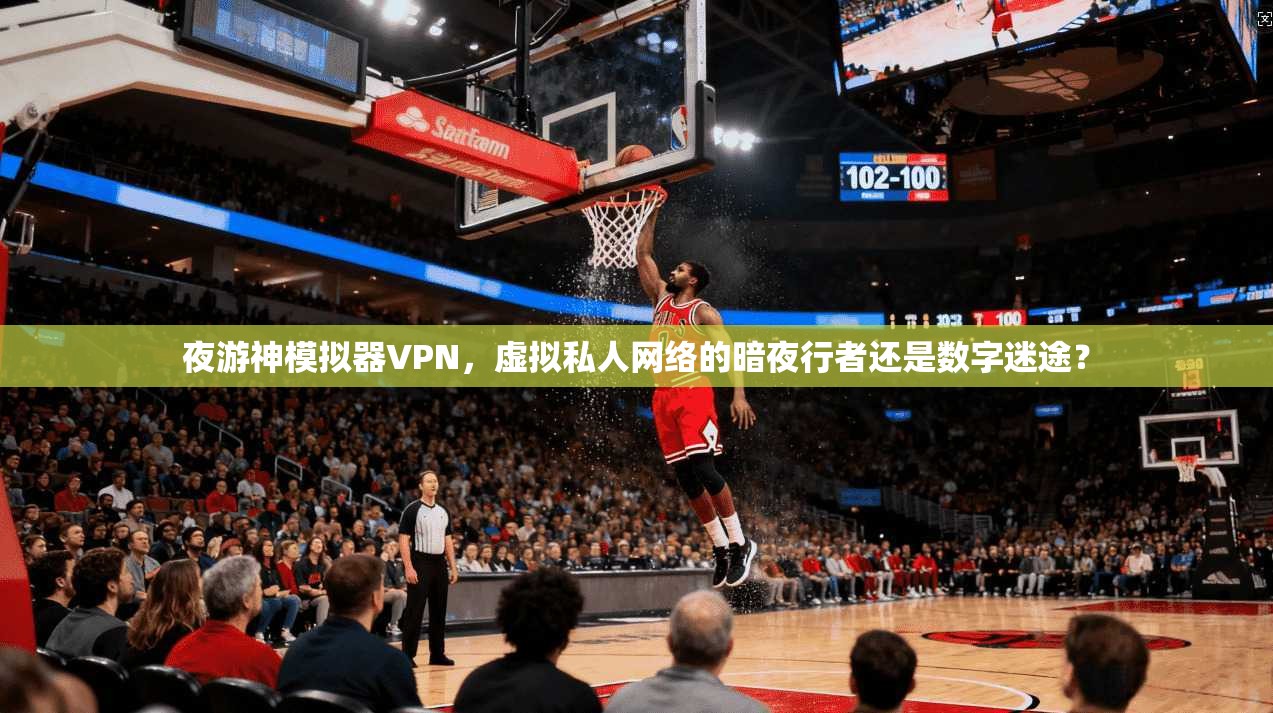 夜游神模拟器VPN，虚拟私人网络的暗夜行者还是数字迷途？