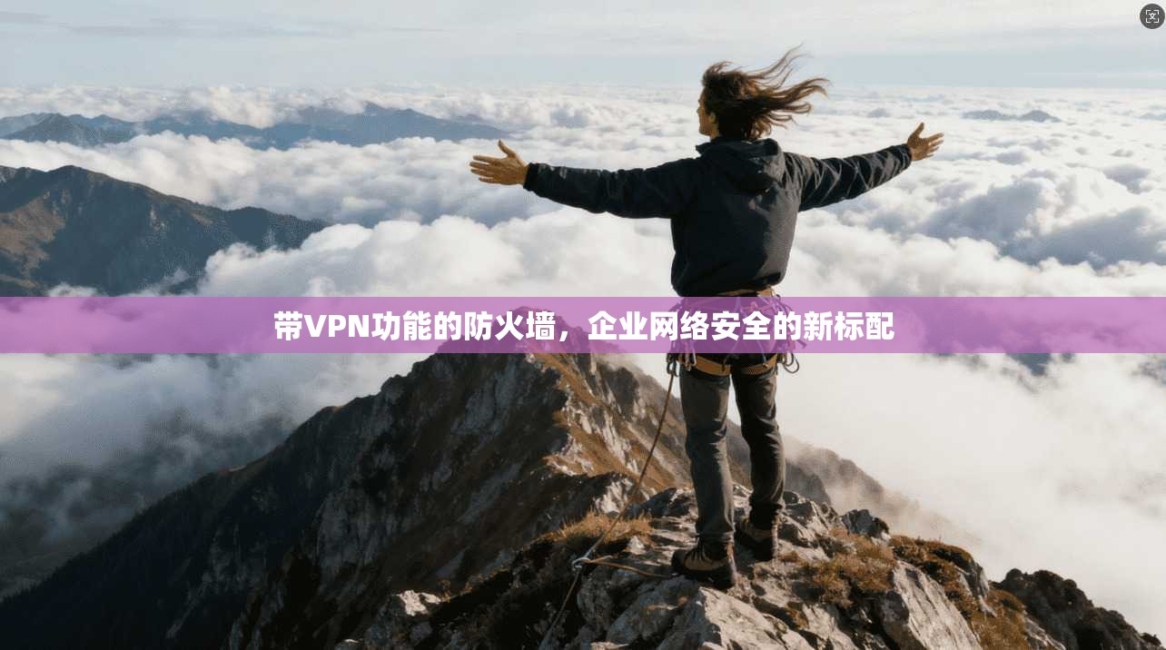 带VPN功能的防火墙，企业网络安全的新标配