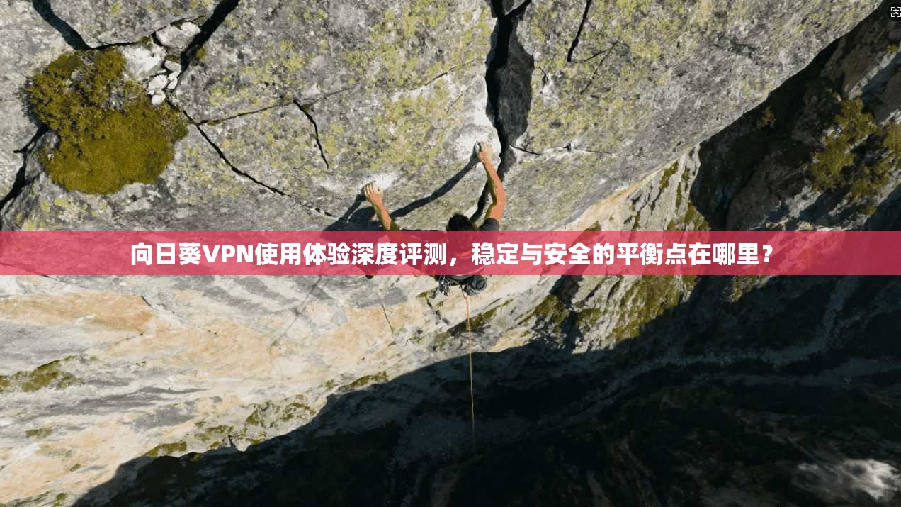 向日葵VPN使用体验深度评测，稳定与安全的平衡点在哪里？