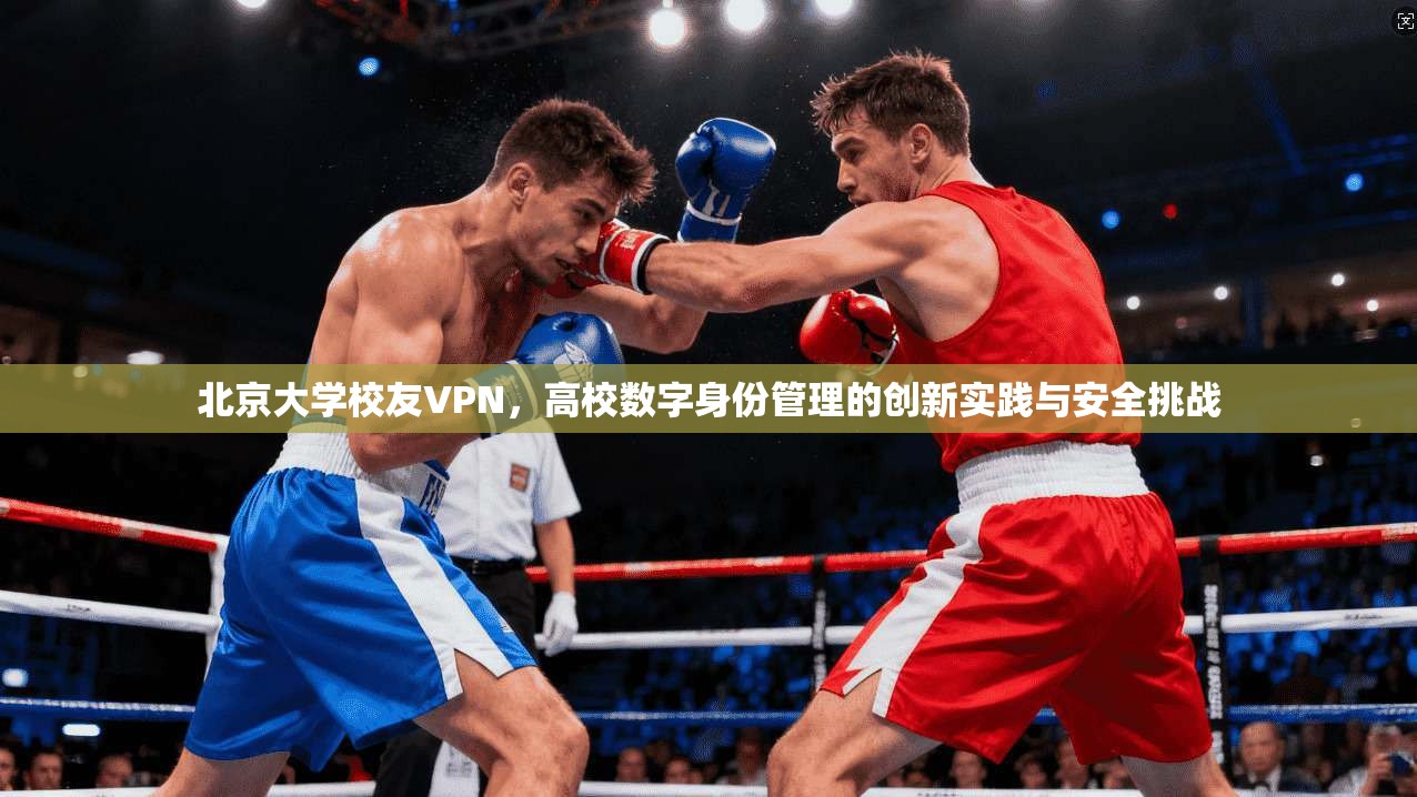 北京大学校友VPN，高校数字身份管理的创新实践与安全挑战