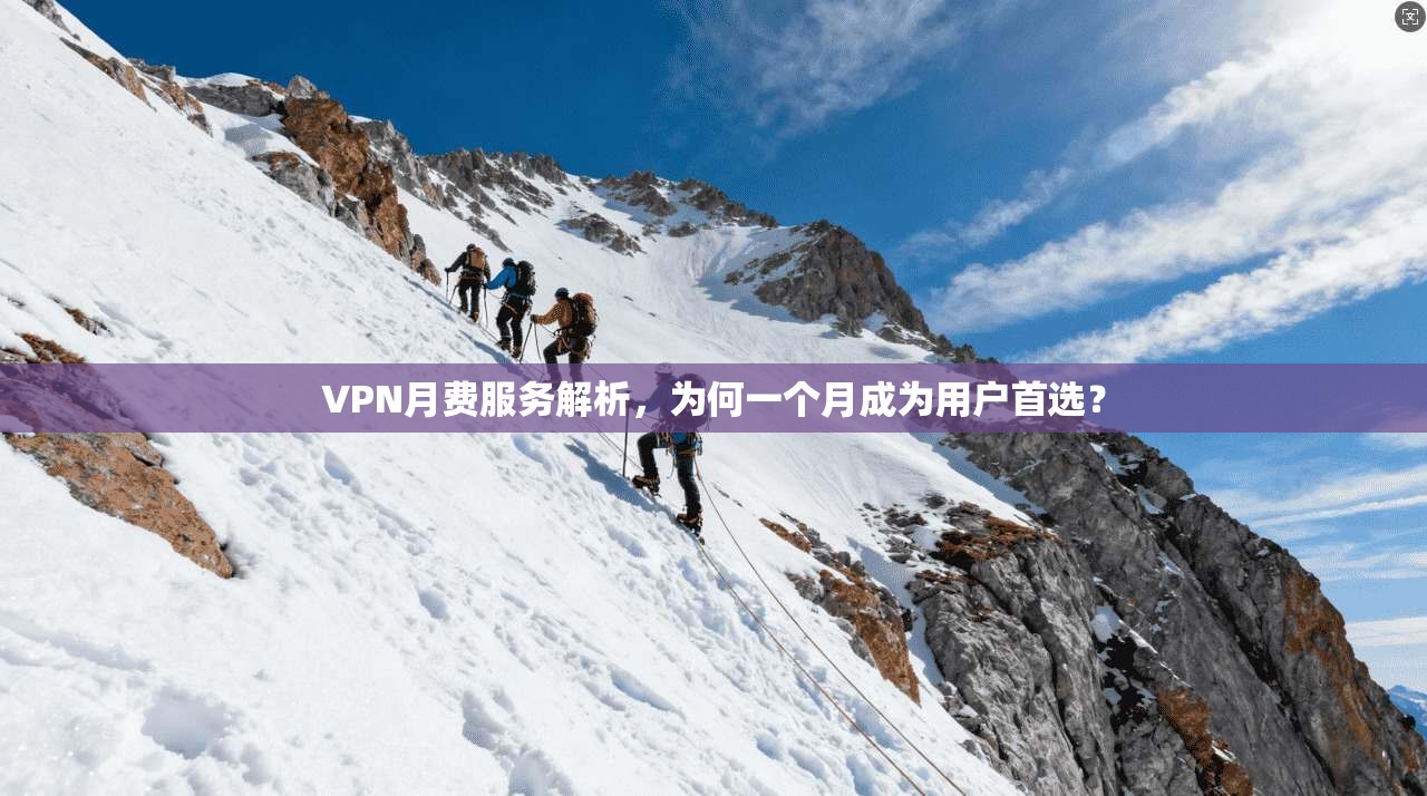 VPN月费服务解析，为何一个月成为用户首选？