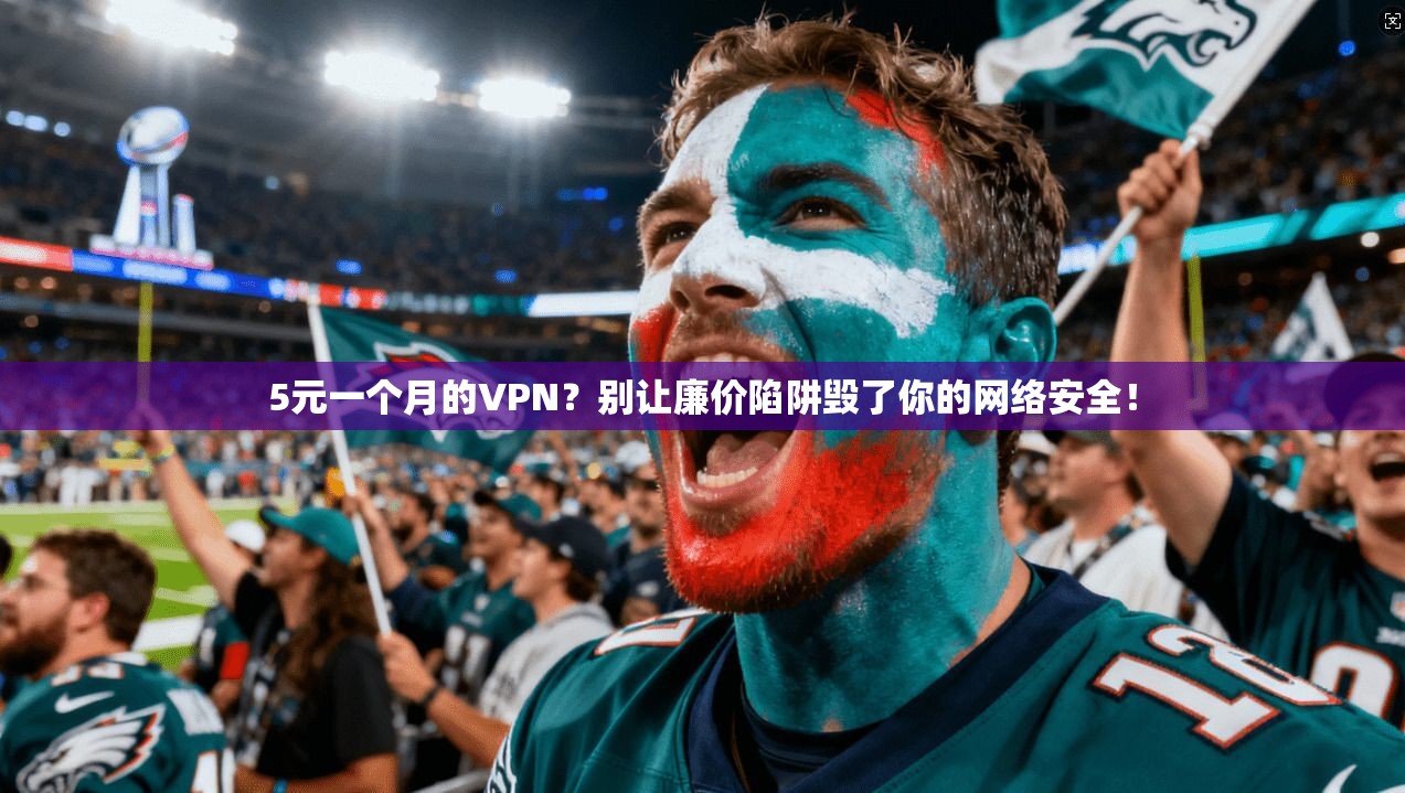 5元一个月的VPN？别让廉价陷阱毁了你的网络安全！