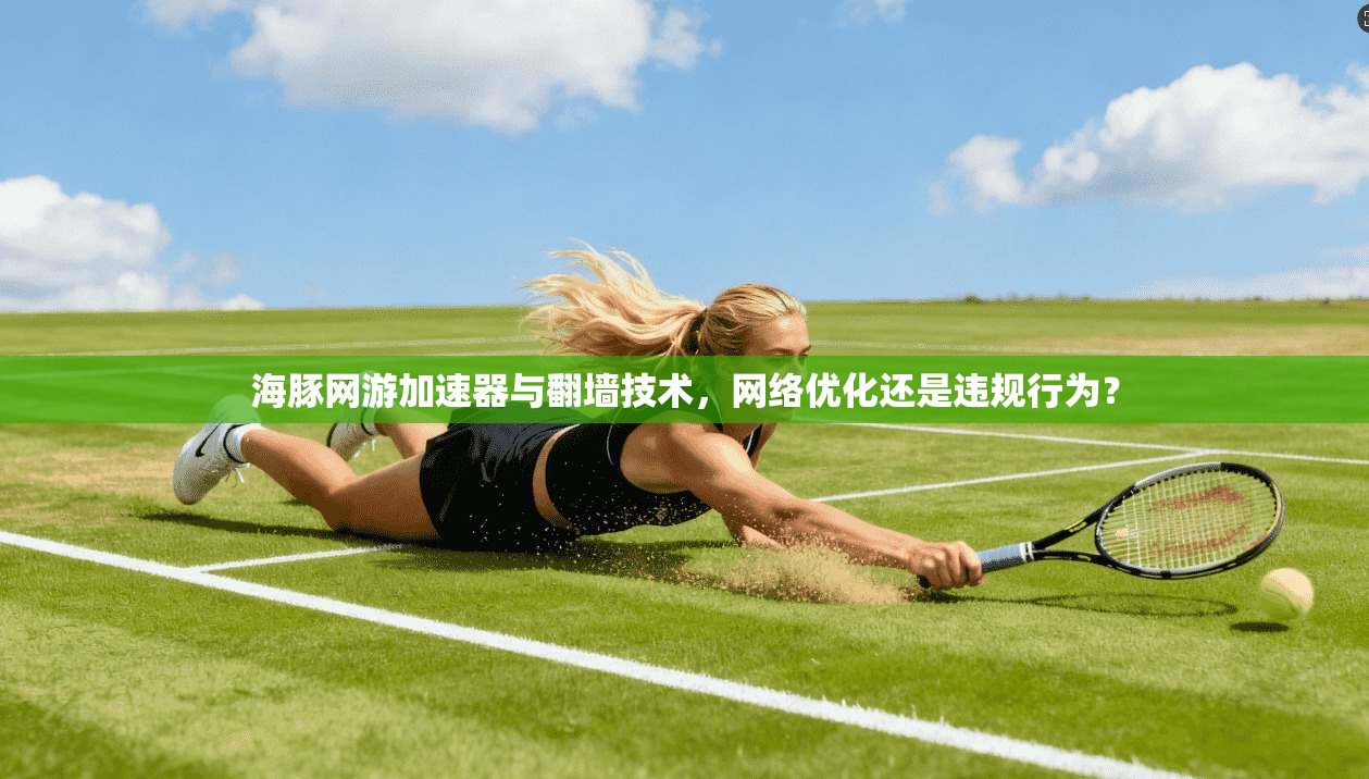海豚网游加速器与翻墙技术，网络优化还是违规行为？
