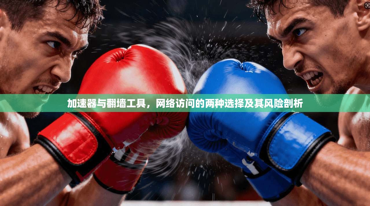 加速器与翻墙工具，网络访问的两种选择及其风险剖析