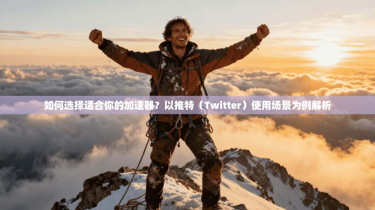 如何选择适合你的加速器？以推特（Twitter）使用场景为例解析