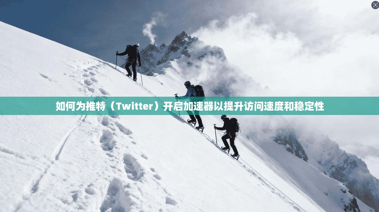 如何为推特（Twitter）开启加速器以提升访问速度和稳定性