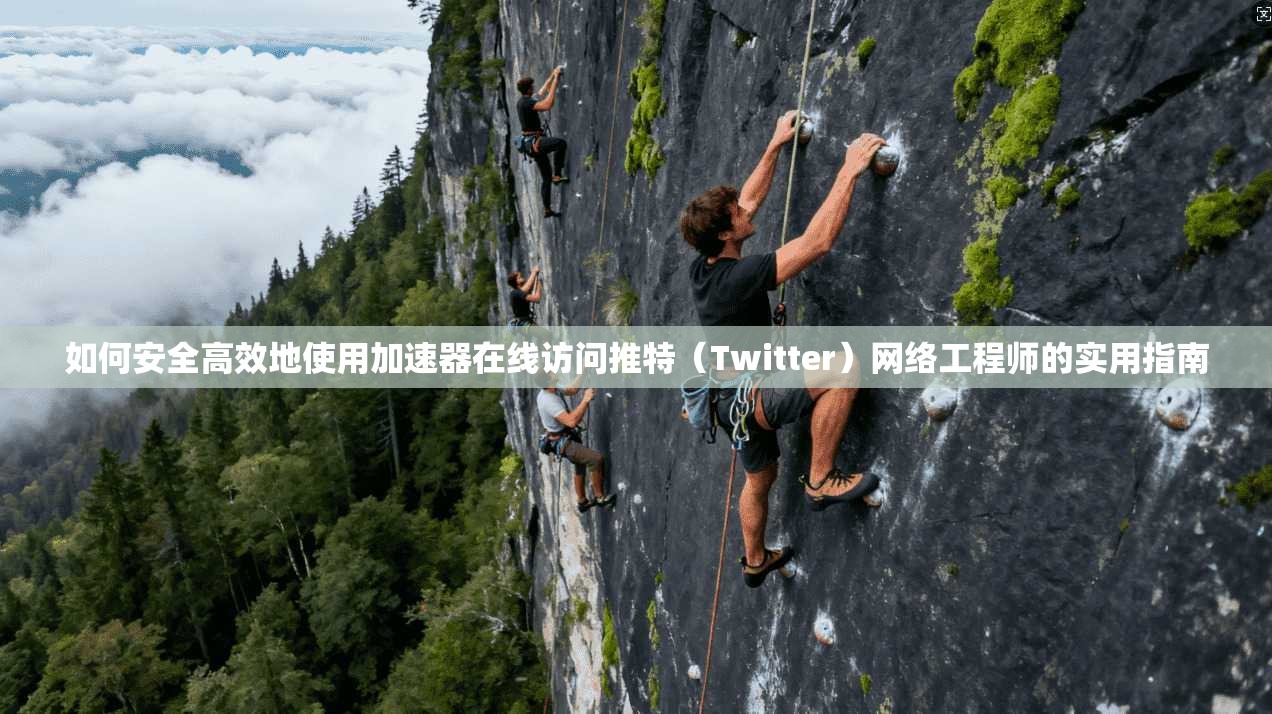 如何安全高效地使用加速器在线访问推特（Twitter）网络工程师的实用指南
