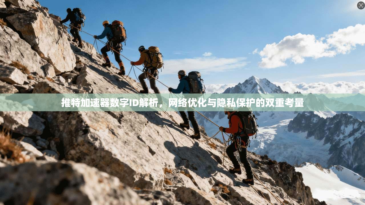 推特加速器数字ID解析，网络优化与隐私保护的双重考量