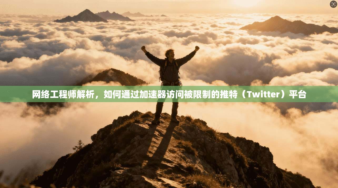 网络工程师解析，如何通过加速器访问被限制的推特（Twitter）平台