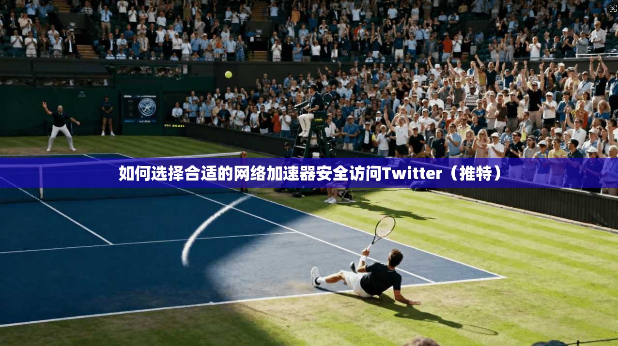 如何选择合适的网络加速器安全访问Twitter（推特）