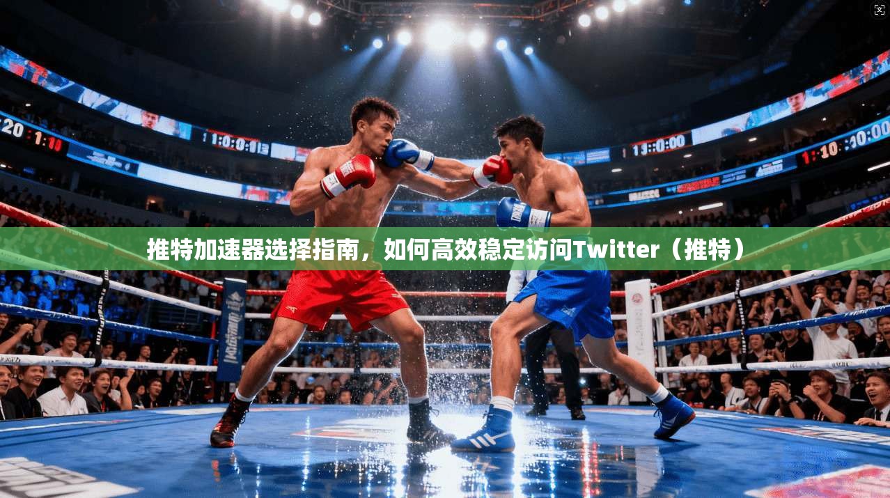 推特加速器选择指南，如何高效稳定访问Twitter（推特）
