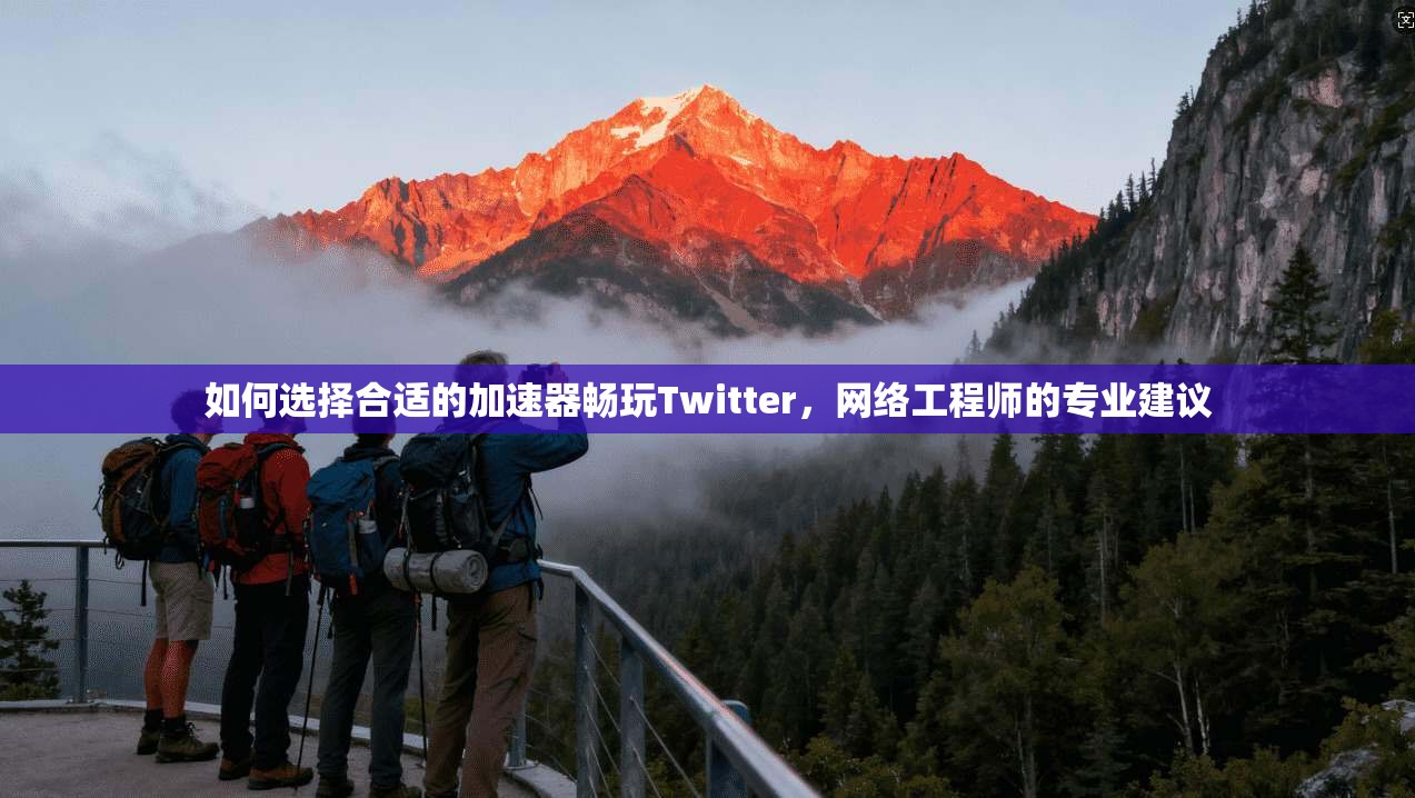 如何选择合适的加速器畅玩Twitter，网络工程师的专业建议