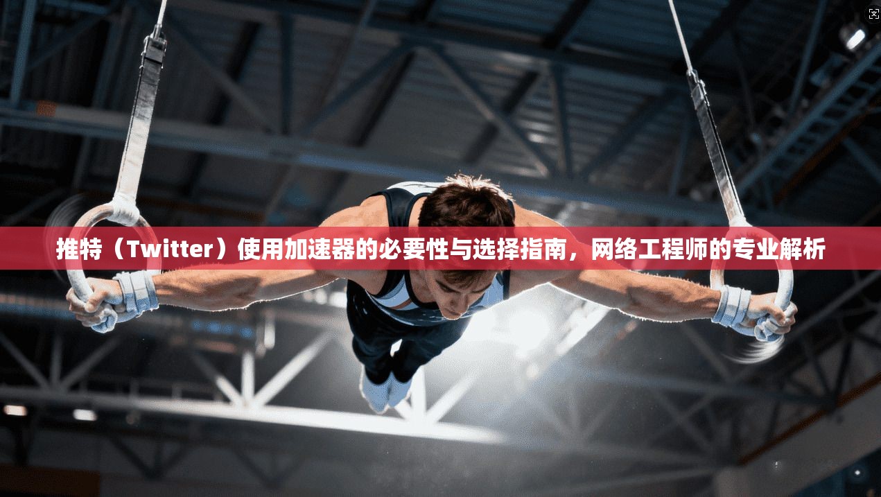 推特（Twitter）使用加速器的必要性与选择指南，网络工程师的专业解析