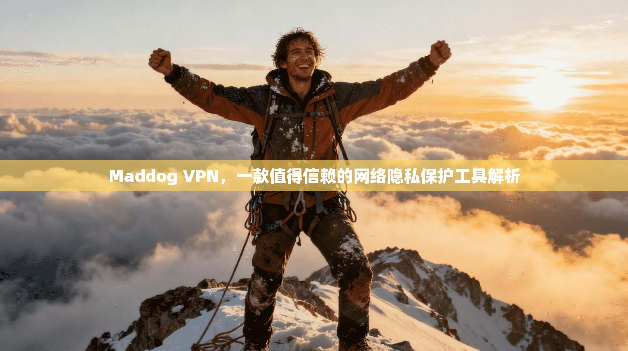 Maddog VPN，一款值得信赖的网络隐私保护工具解析