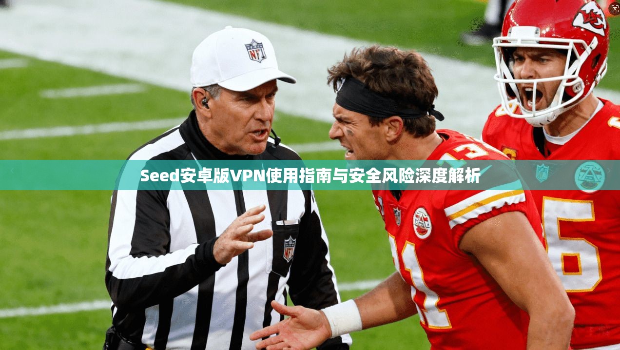 Seed安卓版VPN使用指南与安全风险深度解析