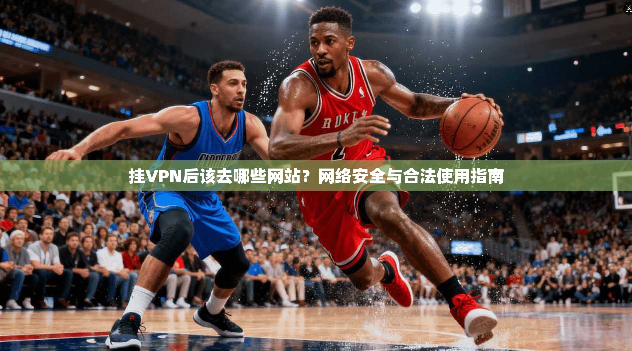 挂VPN后该去哪些网站？网络安全与合法使用指南