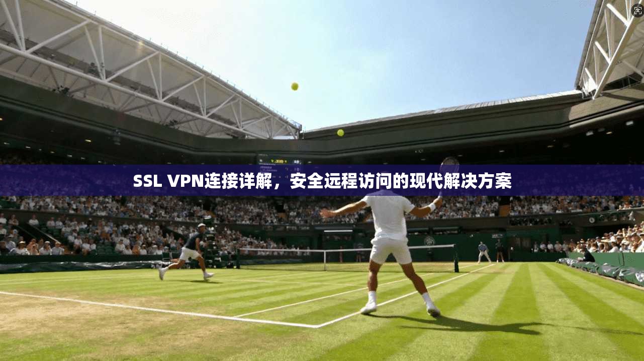 SSL VPN连接详解，安全远程访问的现代解决方案