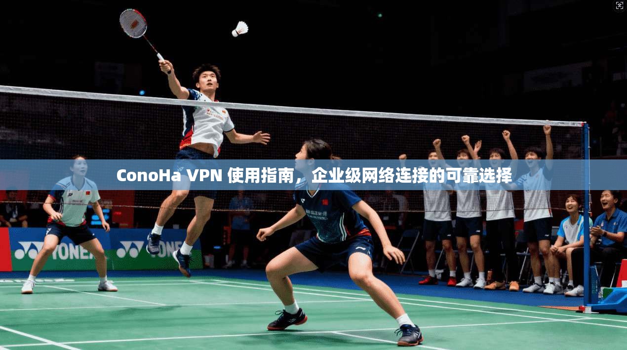 ConoHa VPN 使用指南，企业级网络连接的可靠选择