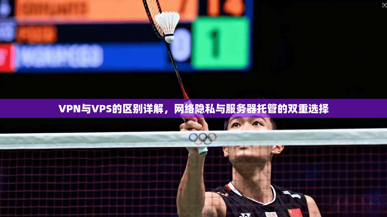 VPN与VPS的区别详解，网络隐私与服务器托管的双重选择