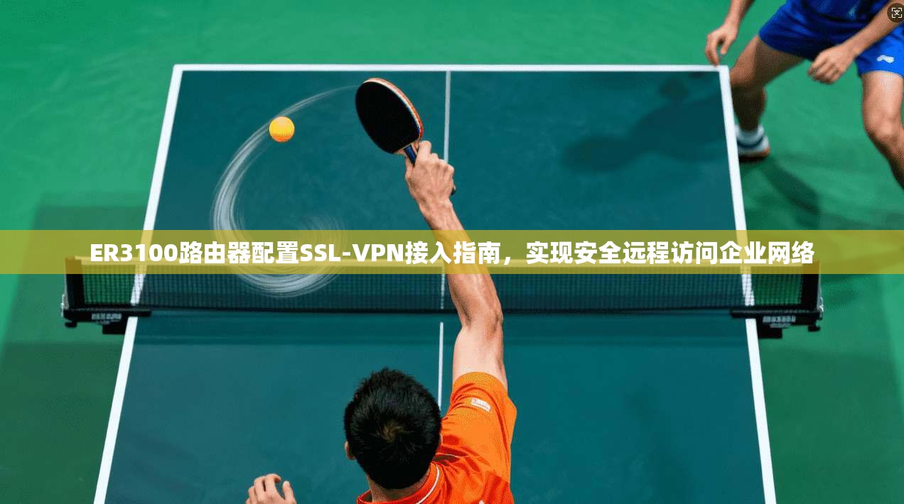 ER3100路由器配置SSL-VPN接入指南，实现安全远程访问企业网络