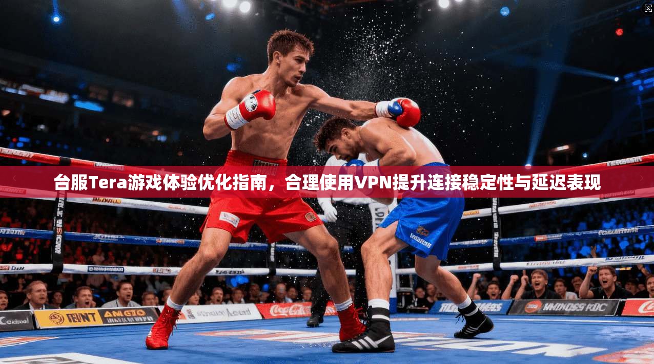 台服Tera游戏体验优化指南，合理使用VPN提升连接稳定性与延迟表现