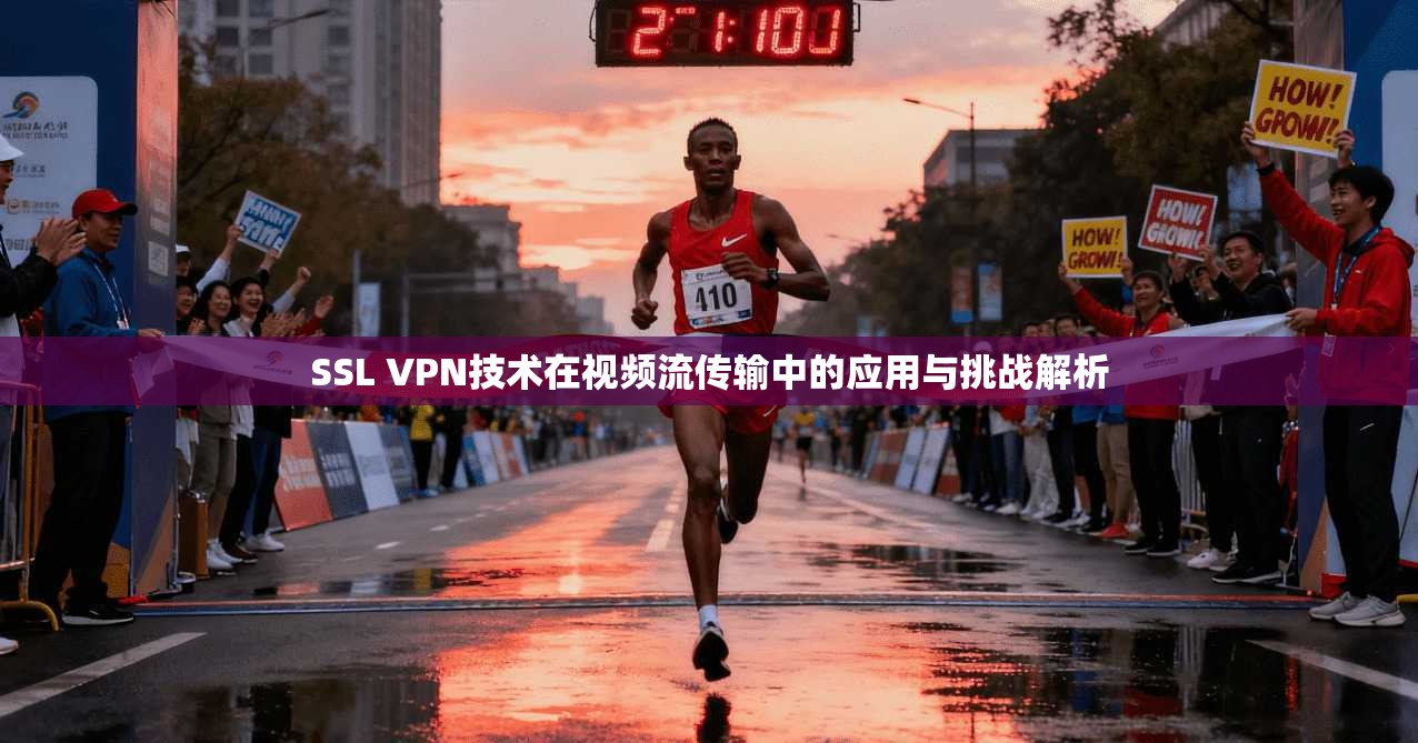 SSL VPN技术在视频流传输中的应用与挑战解析