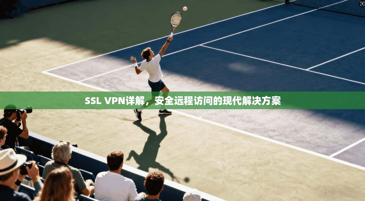 SSL VPN详解，安全远程访问的现代解决方案