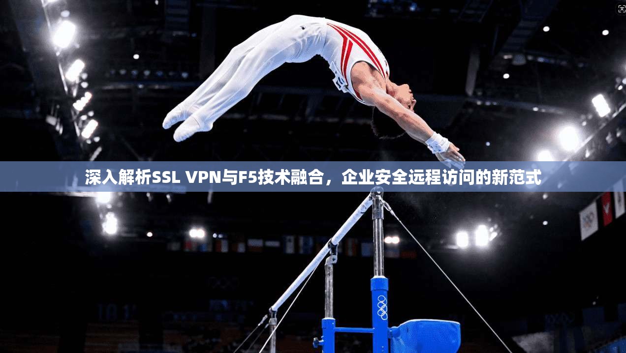 深入解析SSL VPN与F5技术融合，企业安全远程访问的新范式
