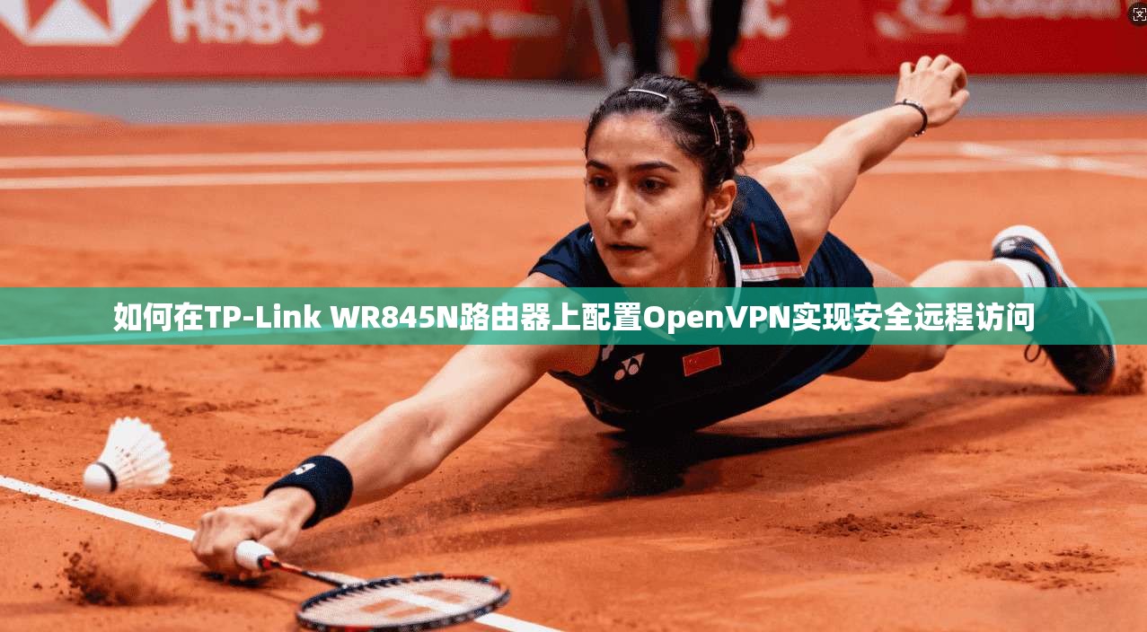 如何在TP-Link WR845N路由器上配置OpenVPN实现安全远程访问