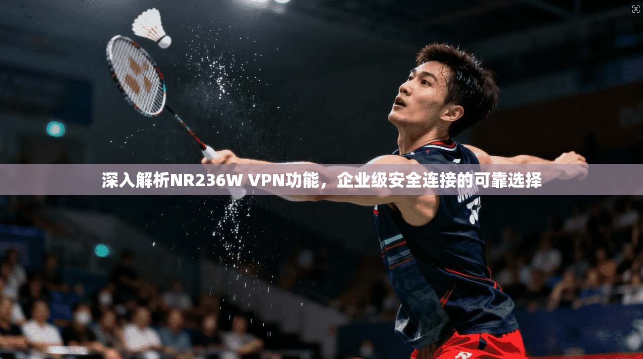 深入解析NR236W VPN功能，企业级安全连接的可靠选择