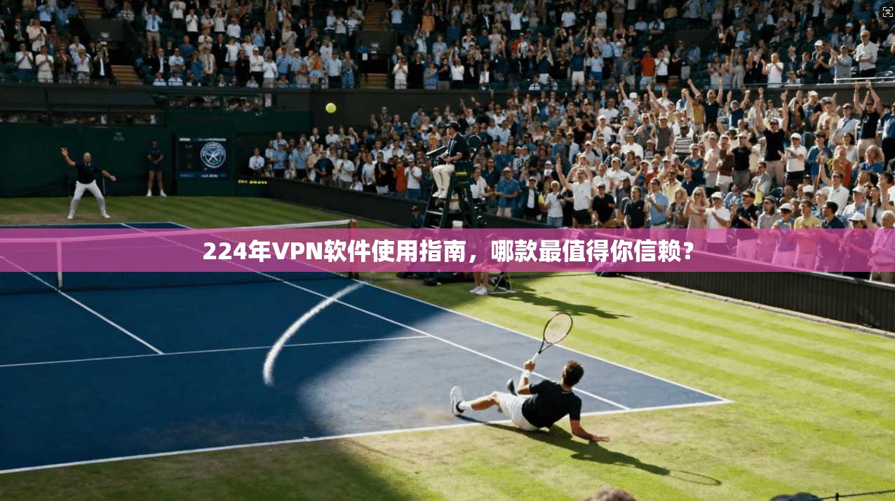 224年VPN软件使用指南，哪款最值得你信赖？