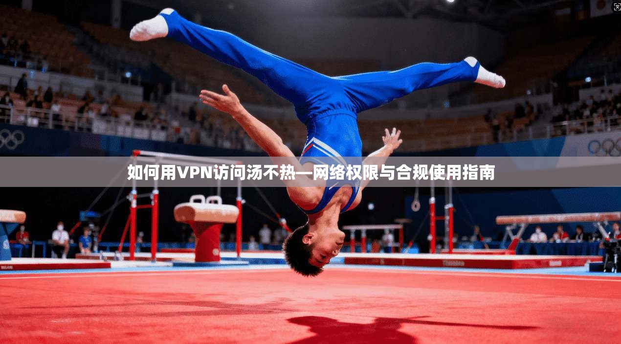 如何用VPN访问汤不热—网络权限与合规使用指南