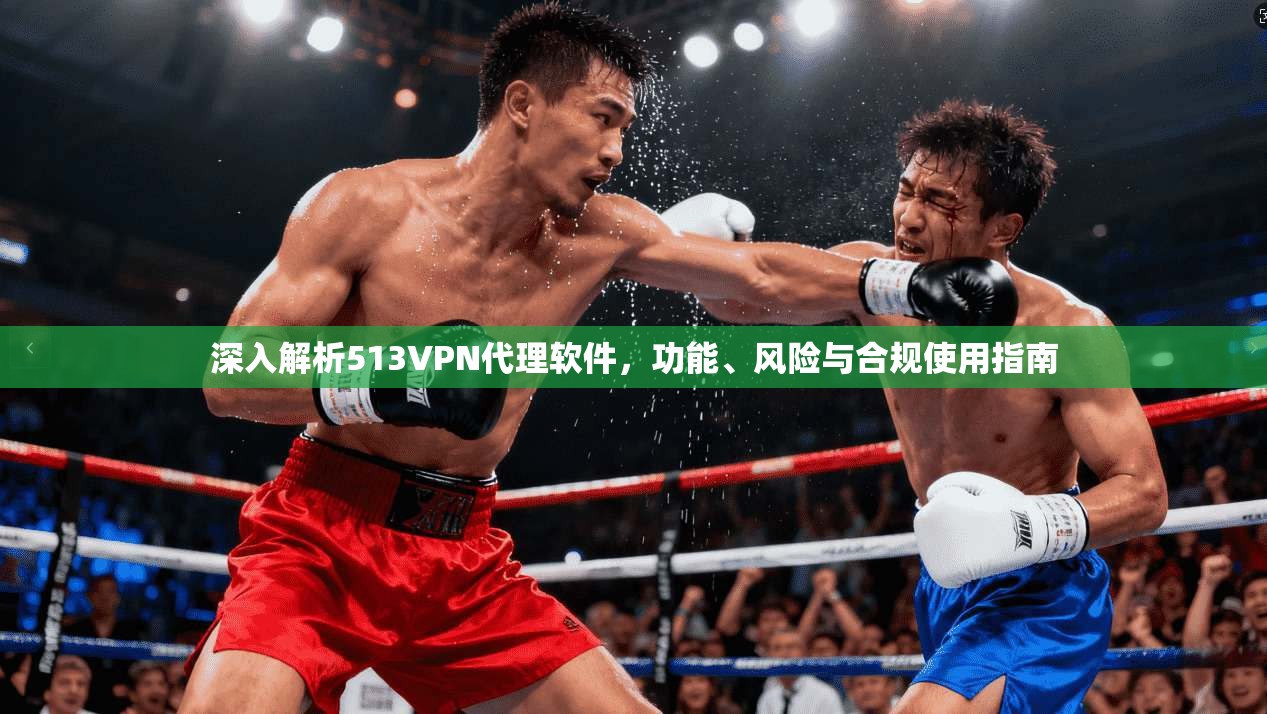 深入解析513VPN代理软件，功能、风险与合规使用指南