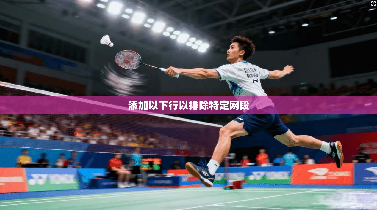 添加以下行以排除特定网段