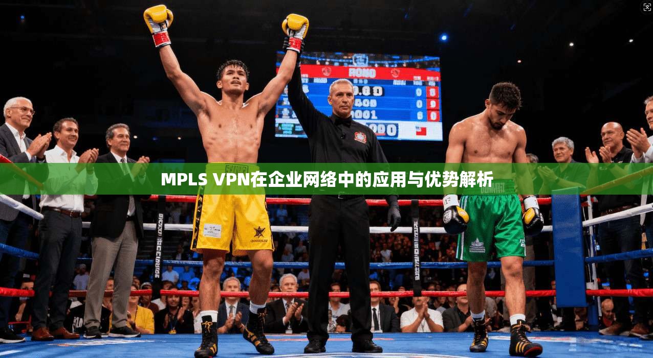 MPLS VPN在企业网络中的应用与优势解析