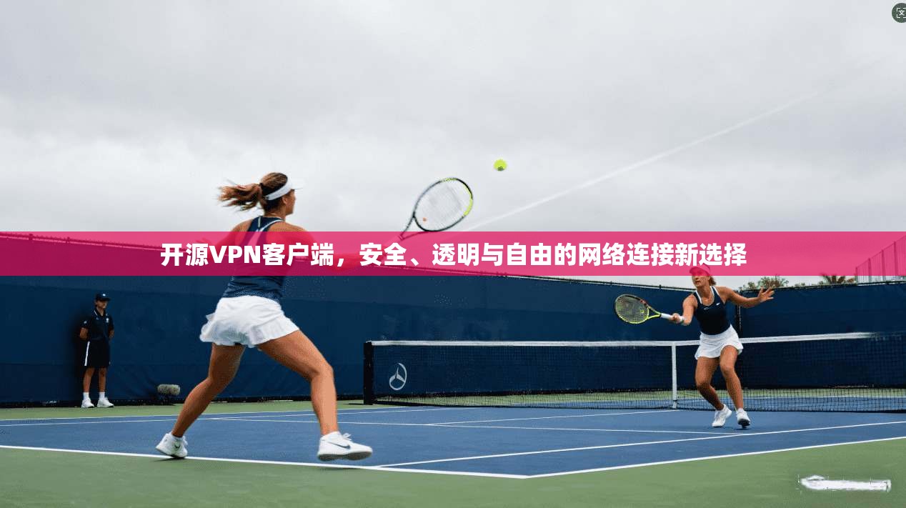 开源VPN客户端，安全、透明与自由的网络连接新选择