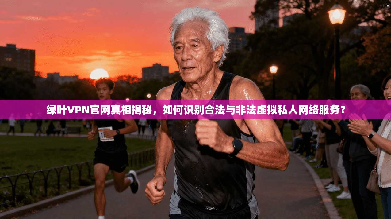 绿叶VPN官网真相揭秘，如何识别合法与非法虚拟私人网络服务？