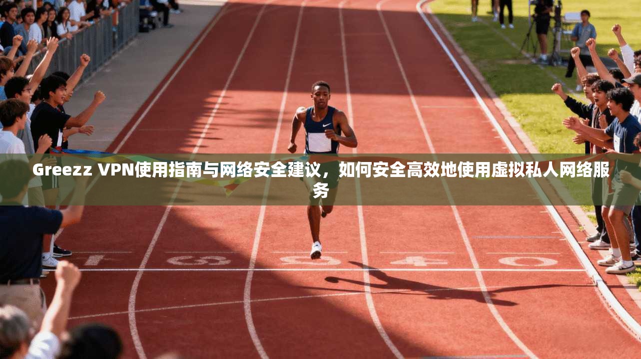 Greezz VPN使用指南与网络安全建议，如何安全高效地使用虚拟私人网络服务