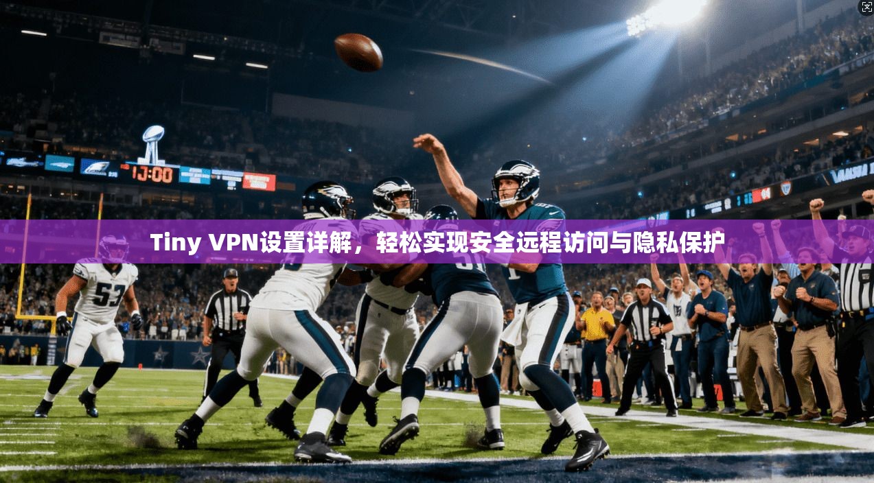 Tiny VPN设置详解，轻松实现安全远程访问与隐私保护