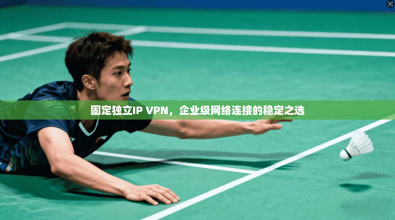 固定独立IP VPN，企业级网络连接的稳定之选