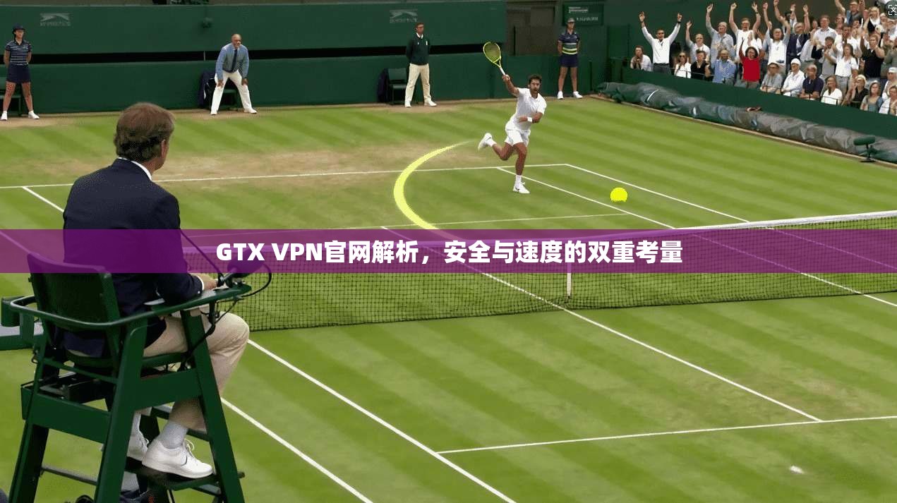 GTX VPN官网解析，安全与速度的双重考量