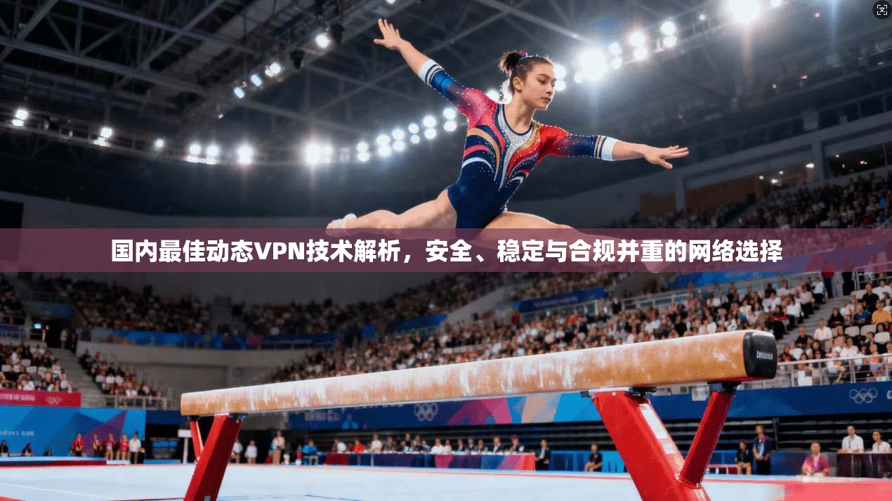 国内最佳动态VPN技术解析，安全、稳定与合规并重的网络选择