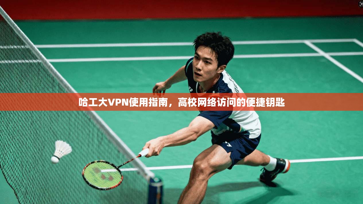 哈工大VPN使用指南，高校网络访问的便捷钥匙