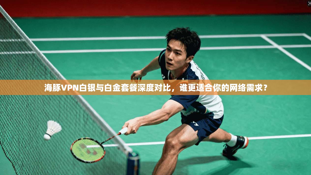 海豚VPN白银与白金套餐深度对比，谁更适合你的网络需求？